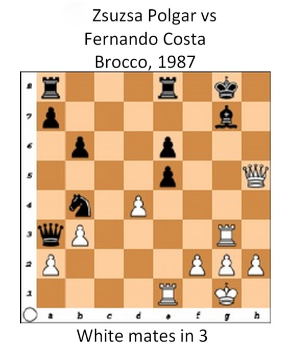 Susan Polgar vs Fernando Costa