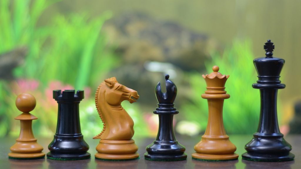 Chess Pieces (8)